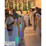 Fotófal bérelhető greenery stílus 10.000 Ft/db vinyl