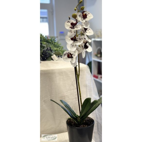 Élethű mű orchidea kerámia kaspóban mályvás