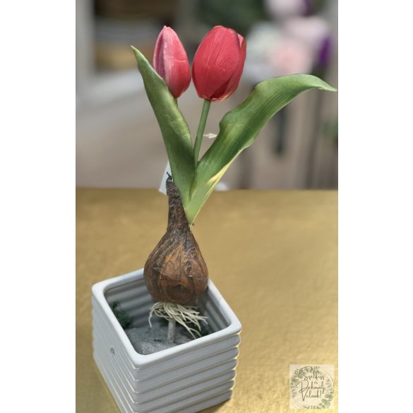 Gumós tulipán élethű,  kaspó nélkül 