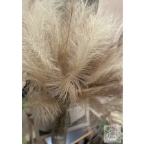 Pampafű pampa fű 55 cm bézs 10 db/csomag
