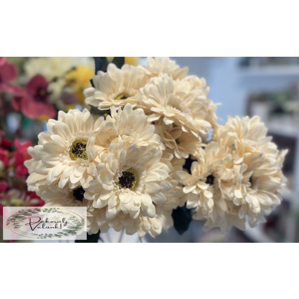 Gerbera csokor  45 cm világos barack