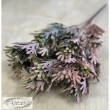 Tuja bokor 5 ágú rózsaszínes végű 31 cm