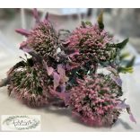 Hagymavirág rózsaszín 31 cm 5 ág hamvas 