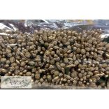 Bibe többféle színben