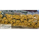 Bibe többféle színben