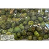 Száraz termés liliputi tök zöld