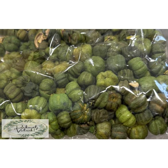 Száraz termés liliputi tök zöld