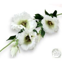 Liziantusz szálas 85 cm fehér-zöld élethű