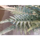 Páfrány csokor mű zöld 11 szál 59 cm