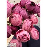 Boglárka köteg 36 db, virág, 9 szál , hossz : 30 cm magenta