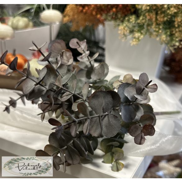 Eukaliptusz csokor 5 szál, 34 cm barna végű rusztikus őszi