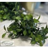 Ruscus ruszkusz 5 szál, 32 cm zöld