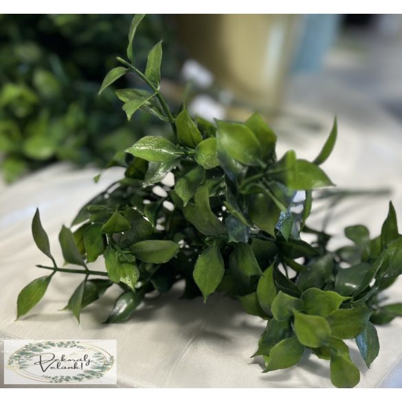 Ruscus ruszkusz 5 szál, 32 cm zöld