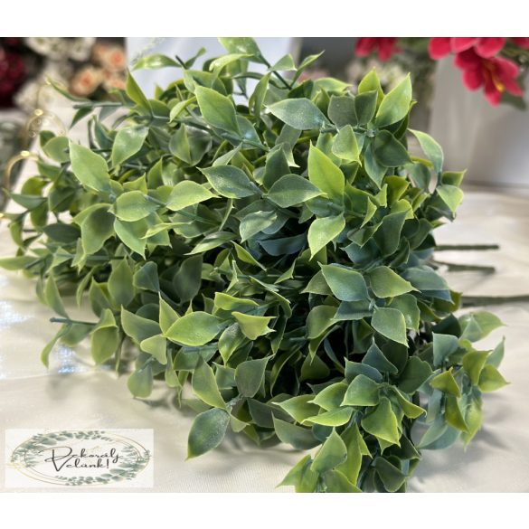 Ruscus 5 szál, 32 cm hamvas 