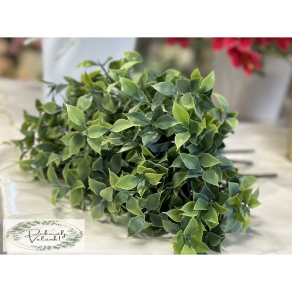 Ruscus 5 szál, 32 cm hamvas 
