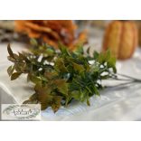 Ruscus ruszkusz 5 szál, 32 cm őszi narancsos végű