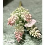 Varjúháj 4 ágas hamvas ,végei rózsaszínesek pozsgás szukkulens real touch