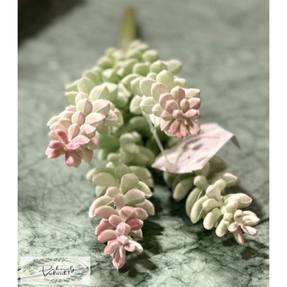 Varjúháj 4 ágas hamvas ,végei rózsaszínesek pozsgás szukkulens real touch