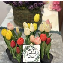   Cserepes mű tulipán 3 ágas 20 cm mű   többféle színben 