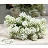 Szamárkenyér köteg 9 ágú fehér 26 cm