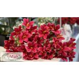 Liliom 5 fej 33 cm pink magenta
