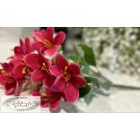 Liliom 5 fej 33 cm pink magenta